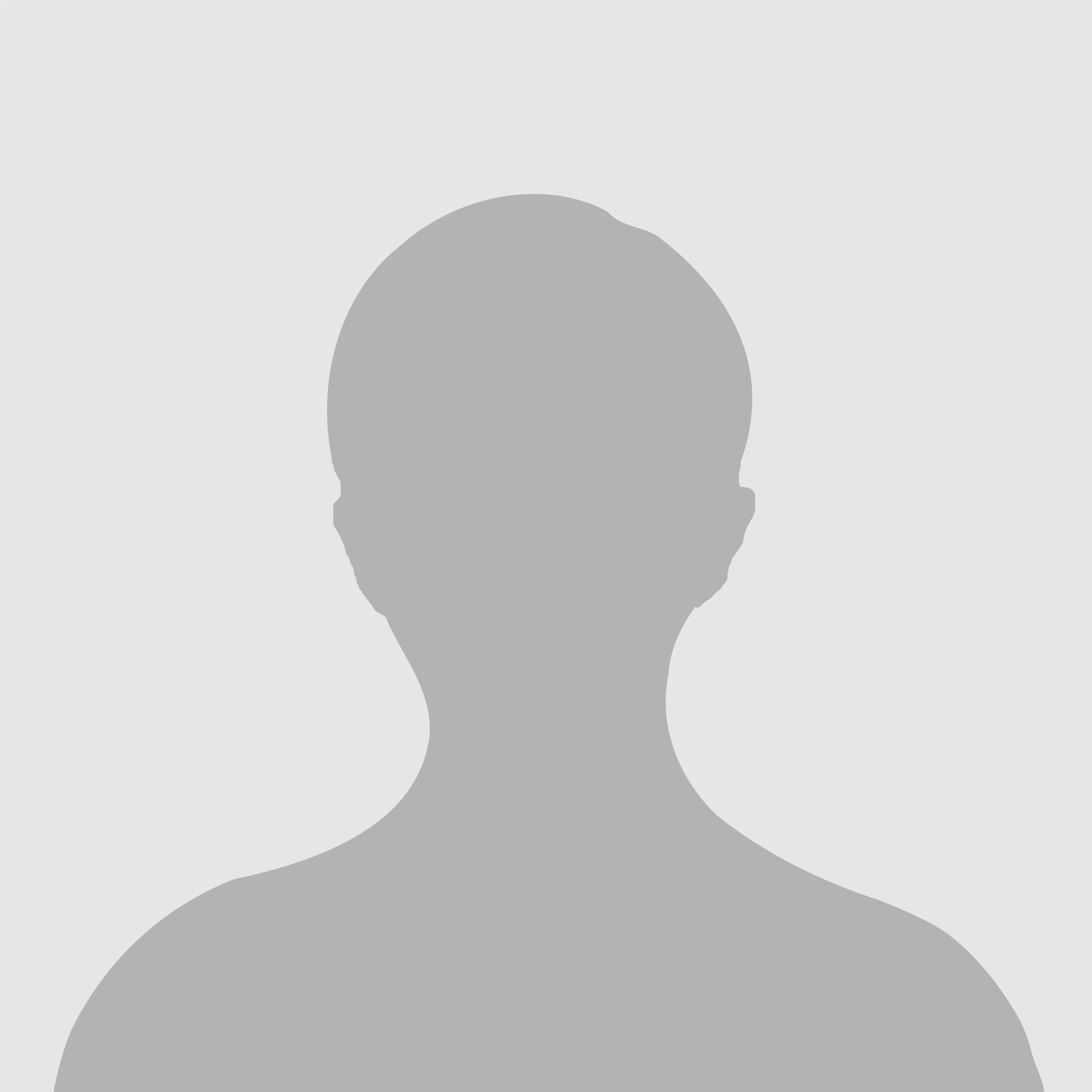 LE IT Service image